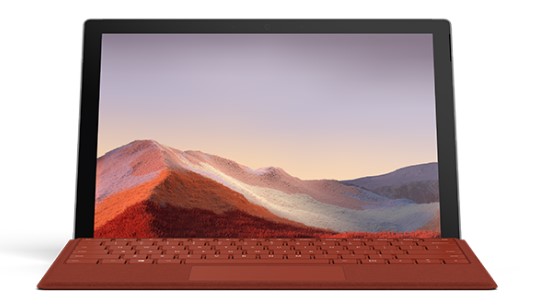 东阁镇清洁和维护 Surface